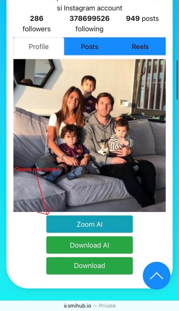 How to use SmiHub to view and download Instagram profile pictures?-7
