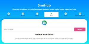 How To Use SmiHub Reels Viewer Tool For New User?